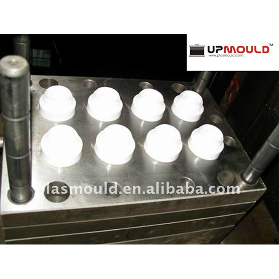 PET preform and bottle mould 11